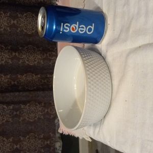 Large ceramic dog bowl